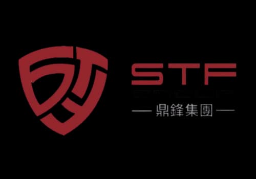 STF Group