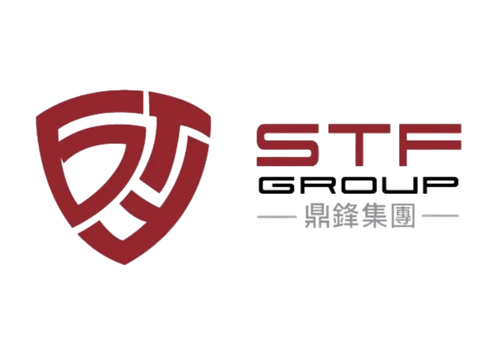 stfgroup logo